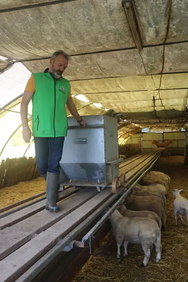 Ovimax, le chariot de distribution mis au point par Denis Untereiner, fait gagner beaucoup de temps à l'éleveur sur ces tâches quotidiennes. © B. More