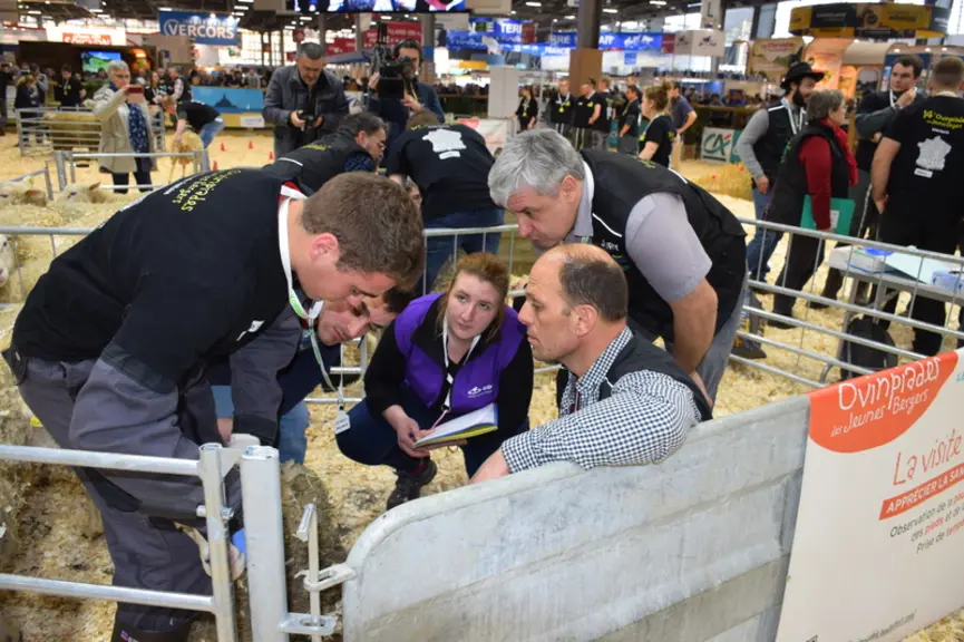 Les Ovinpiades restent un moment fort du Salon de l'agriculture. © D. Hardy