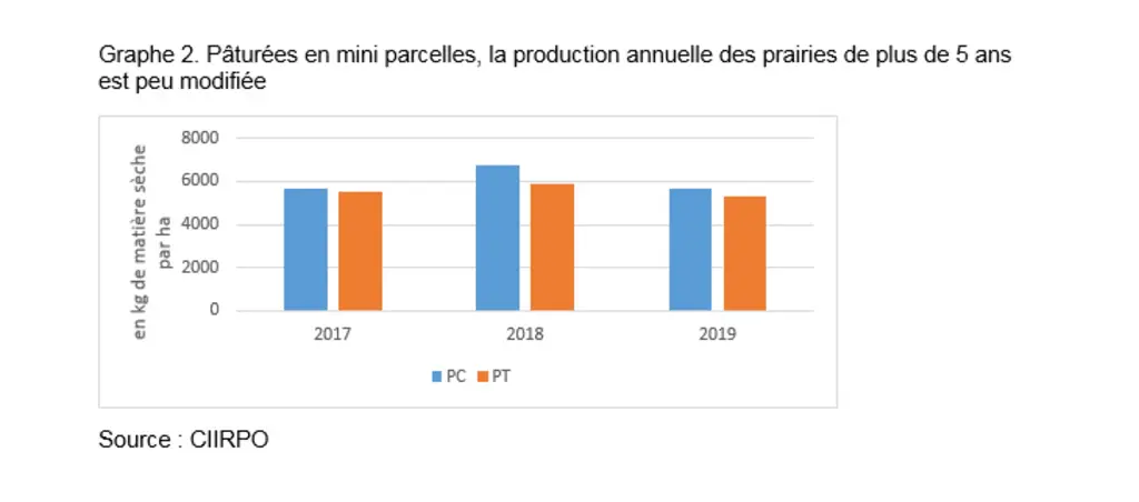 Pâturées en mini-parcelles, la production annuelle des prairies de plus de cinq ans est peu modifiée © Ciirpo