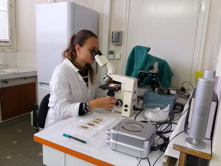 451 analyses coprologiques ont été réalisées dans le cadre de cette étude. © Ciirpo