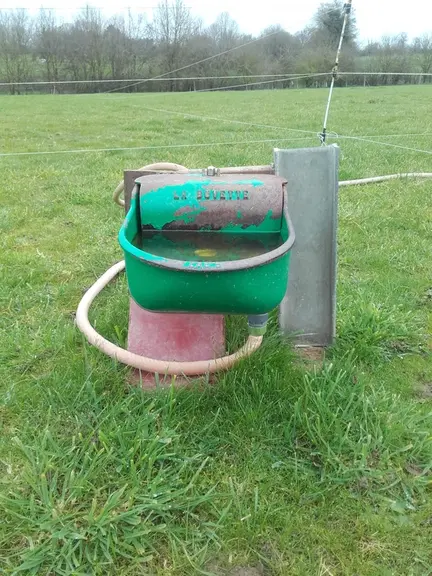 L’abreuvoir à niveau constant est déplacé en même temps que le bac. L’eau se renouvèle vite et les animaux le préfèrent au bac de 50 litres . © les Si