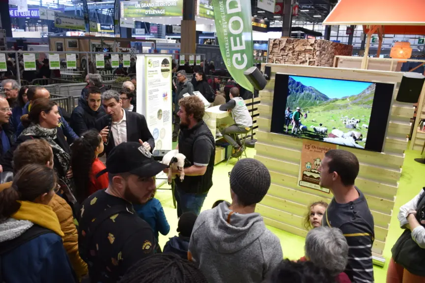 Sur le stand Inn'ovin, l'élevage se faisait pédagogique et calin pour expliquer la vie des moutons au plus grand nombre.  © D. Hardy