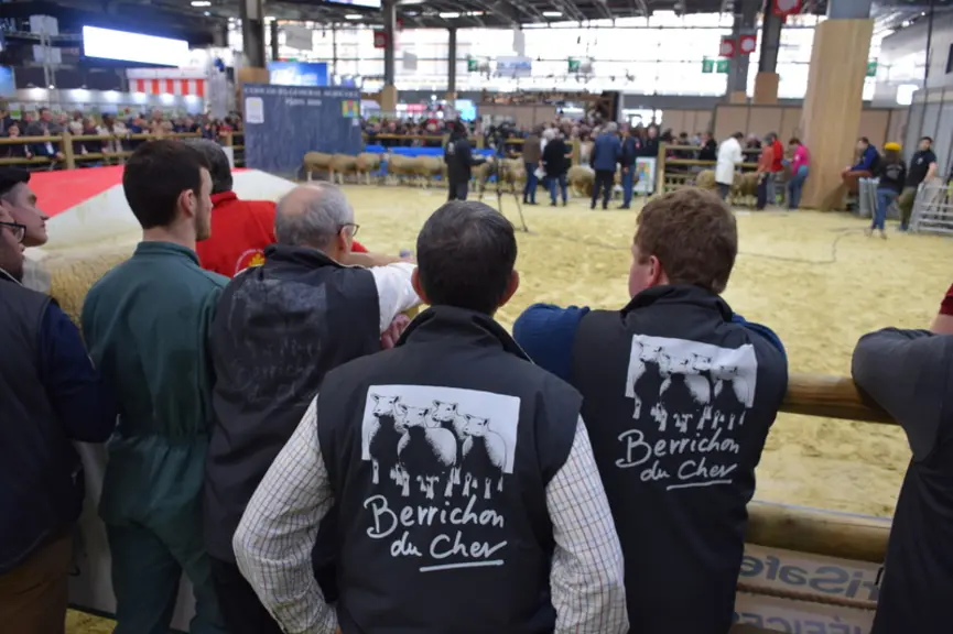Les concours d'animaux se sont enchaînés du dimanche au jeudi sur le ring ovin. © D. Hardy