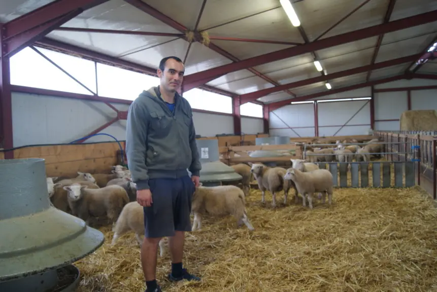 La bergerie, terminée en 2016, est fonctionnelle avec ses nourrisseurs et ses cornadis. © J.-M. Bidoire