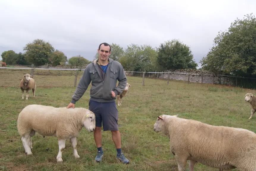 Pierre Largy achète des béliers Texel inscrits. © J.-M. Bidoire