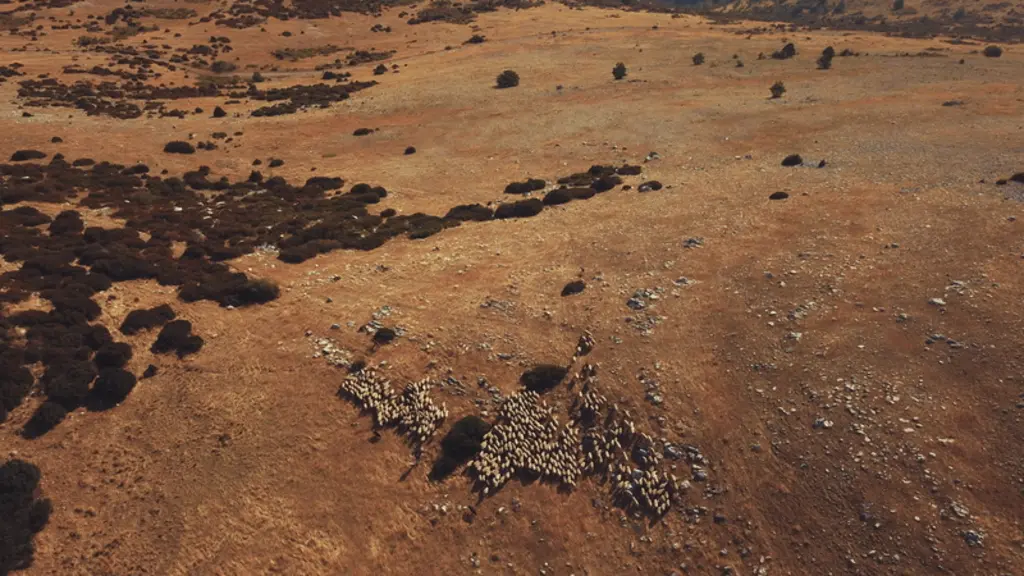 Le drone est particulièrement utile quand les broussailles sont haute ou quand le berger ne connait pas bien le quartier.  © N. Schneidermann