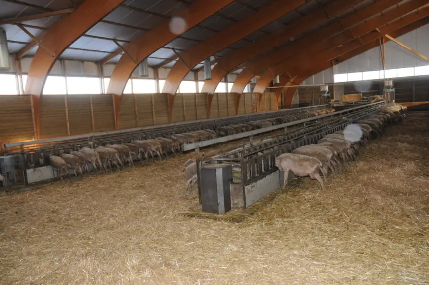 Dans le cadre d’une utilisation estivale du bâtiment, il est important d’adapter le système de ventilation et la conception des bâtiments. Les besoins