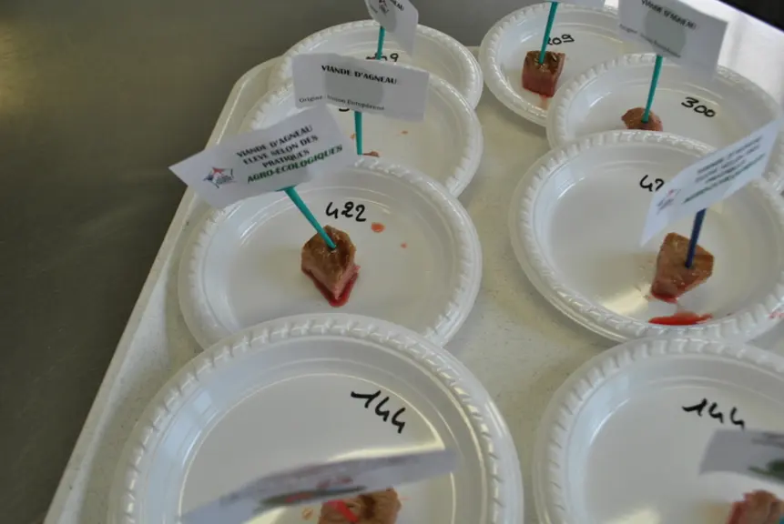 La viande cuite est découpée en petites bouchées. La même côtelette est appréciée par deux consommateurs. © J. Normand