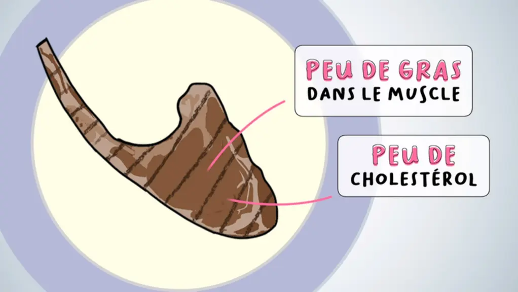 L’agneau s’avère être une viande plutôt maigre, avec une teneur en lipide de seulement 3 g pour 100 g de viande fraîche. © P. Sandrin