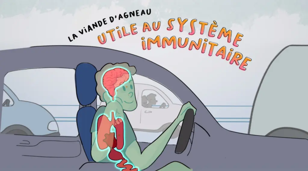 La vitamine B12 joue de nombreux rôles dans l’organisme. Elle intervient dans la synthèse des acides gras et dans la production d’énergie. Elle est in