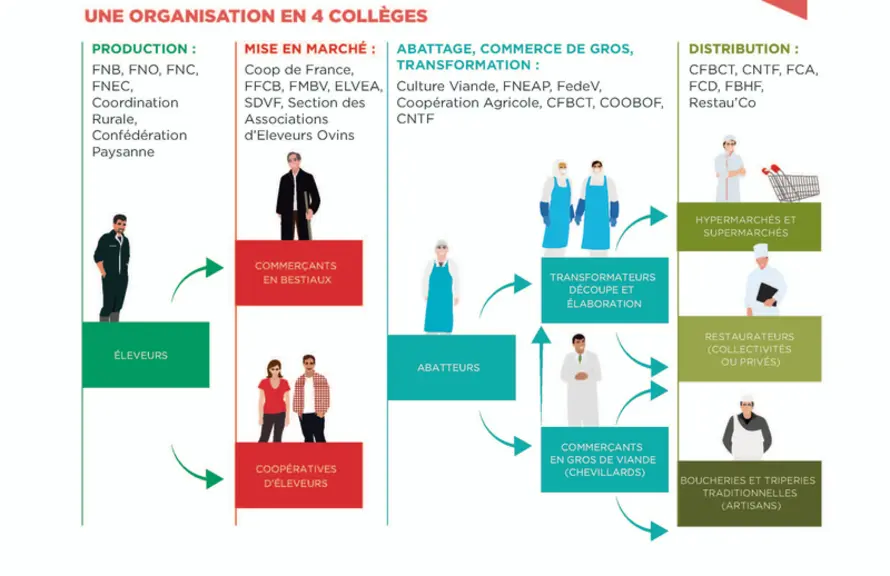 Les 22 organisations nationales d'Interbev sont réparties dans quatre collèges. © Interbev