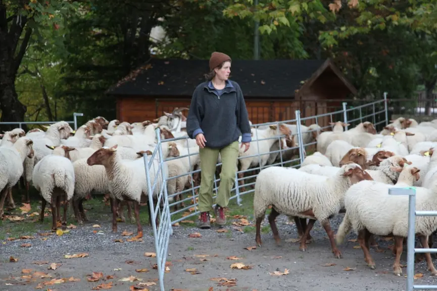 Barbara Van Daële, éleveuse herbassière : « Au début, on était toujours à chercher de l'herbe. Ensuite, on a eu davantage d'arrangements oraux. » © M.