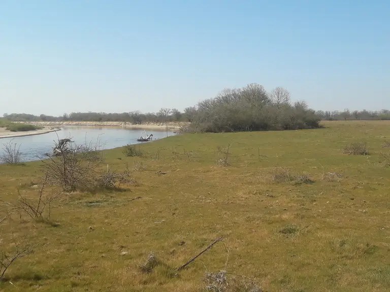 Les 87 hectares de parcours sont en zone inondable sur les berges de la Loire. Beaucoup de nouveautés pour l'éleveuse qui apprend au fur et à mesure.
