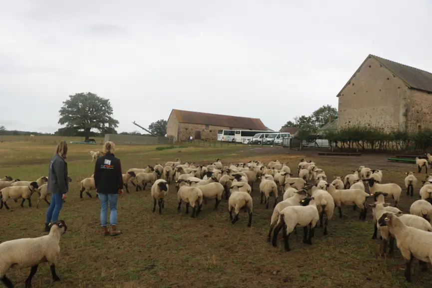 Les parcelles autour de la ferme se sont vite montrées insuffisantes en temps de sécheresse. © B. Morel