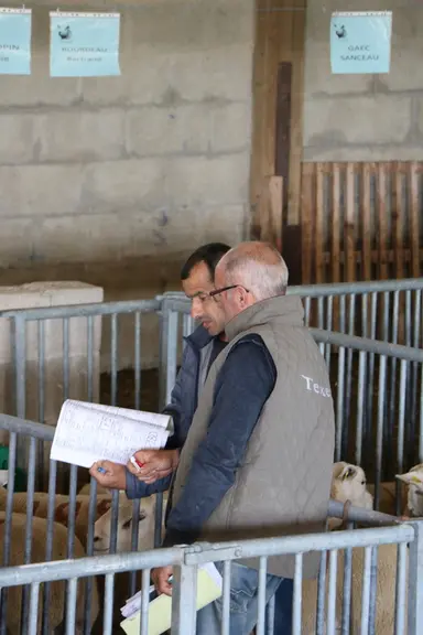 Le partage des informations de l'élevage avec le conseiller technique est primordial pour faciliter et accélérer le travail de celui-ci. Et l'éleveur