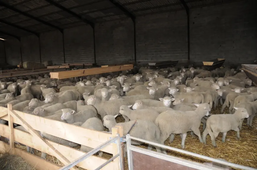 Si le bâtiment est plus ou moins rempli en fonction des saison, il est conseillé d'étudier la ventilation en fonction du nombre maximal de brebis pouv