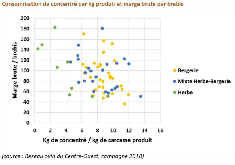 La marge brute par brebis est d'autant plus importante que les kilos de concentré par kilos de carcasse produit sont faibles. © réseau ovin du Centre
