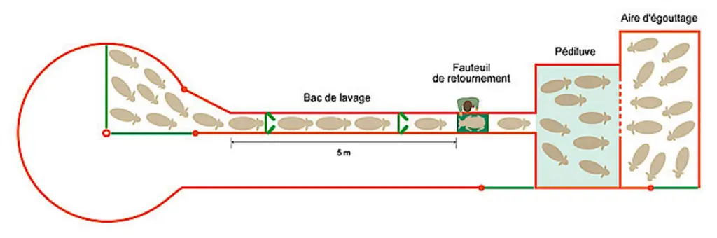 Pédiluve humide et fauteuil de retournement © Equip’Innovin