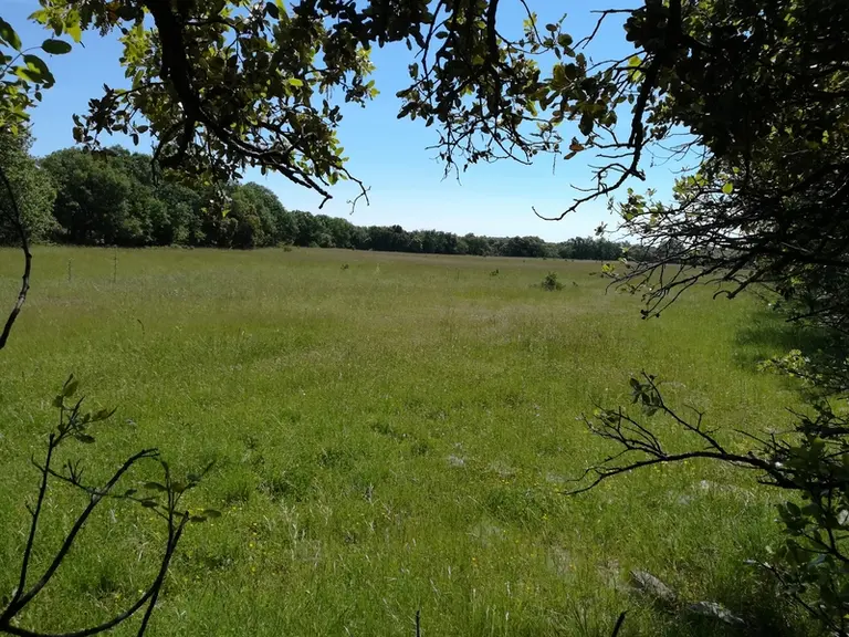 Les milieux pastoraux méditerranéens et subméditerranéens présents en Grand Pic Saint-Loup sont des réservoirs de biodiversité. Les activités agropast