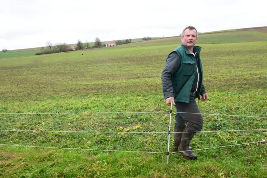 Fabrice Trottier s'est formé à l'agriculture de conservation des sols et, maintenant, il y a toujours des végétaux vivants sur ces terres. © D. Hardy