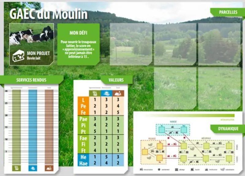 Quatre joueurs reçoivent une exploitation, des cartes prairies et un « Challenge système » qui va les perturber. © Aeole