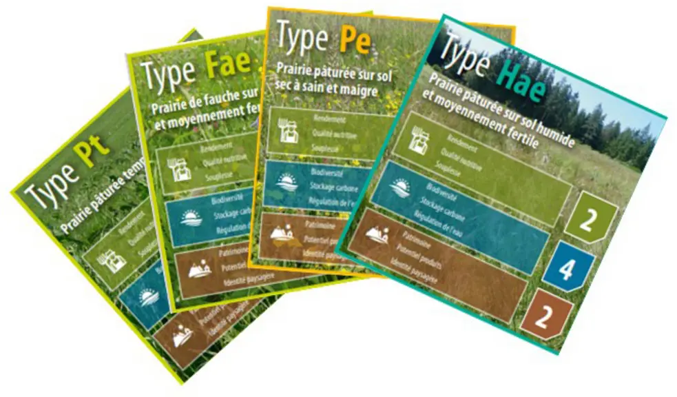 11 types de prairies emblématiques sont décrites simplement en fonction de leurs performances agricoles, environnementales ou pour laqualité des produ