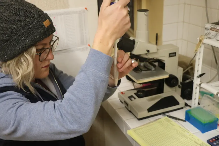 Les spermatozoïdes sont observés au microscope afin de calculer leur nombre et leur motilité. © B. Morel