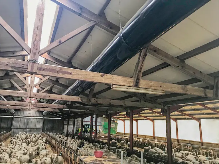 Ventilation de bergerie Orela © DR