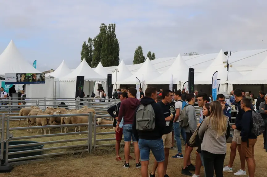 Tech-Ovin persévère dans son objectif initial : renouveler les générations d'éleveurs ovins et professionnaliser la filière. © B. Morel
