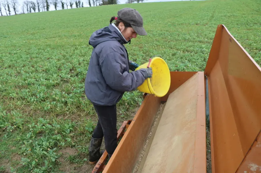 Ne distribuer l'aliment qu'une seule fois par jour à ses brebis, ce serait possible sans qu'il n'y ait de conséquence sur leur santé. © E. Skowron