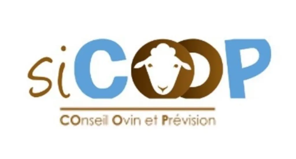 Sicoop permet d'affiner les dates de disponibilités des agneaux. © La Coopération agricole