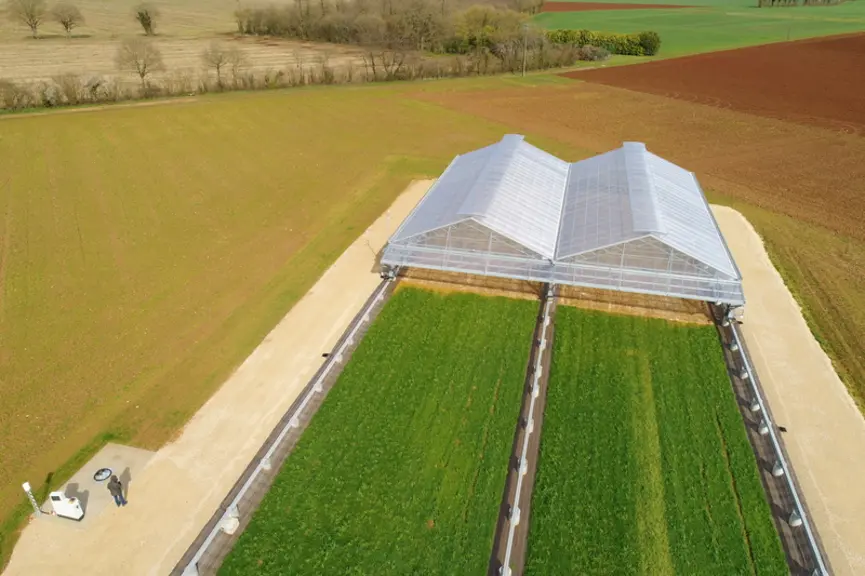 Siclex est un dispositif expérimental permettant de simuler des sécheresses sur des microparcelles et d’évaluer la résistance des plantes testées. © S