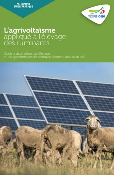 L'Idele propose un guide pratique pour monter son projet d'agrivoltaïsme.
