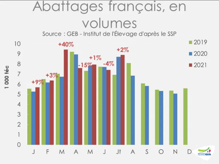 Des abattages en hausse grâce aux achats d’agneaux espagnols