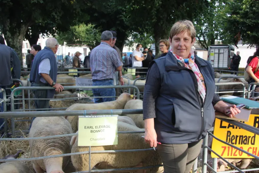 Denise Bonnot a, comme chaque année depuis plus de vingt ans, amené ses béliers pour la vente à la foire de Bellac.