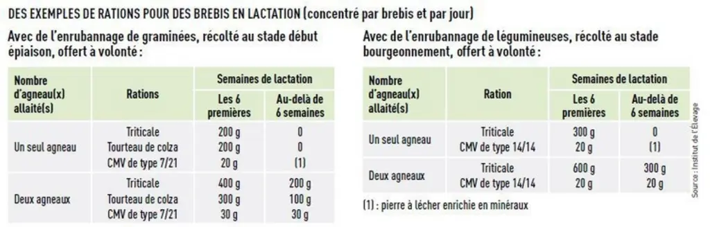 Le Ciirpo donne des exemples de rations pour les brebis en lactation qui reçoivent à volonté de l'enrubannage soit de graminées soit de légumineuses.S