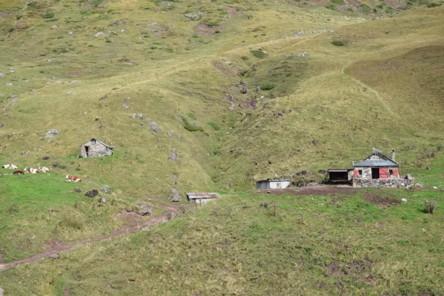Un jour avec Fabienne et Jean Laher, éleveurs ovins transhumants dans les Pyrénées
