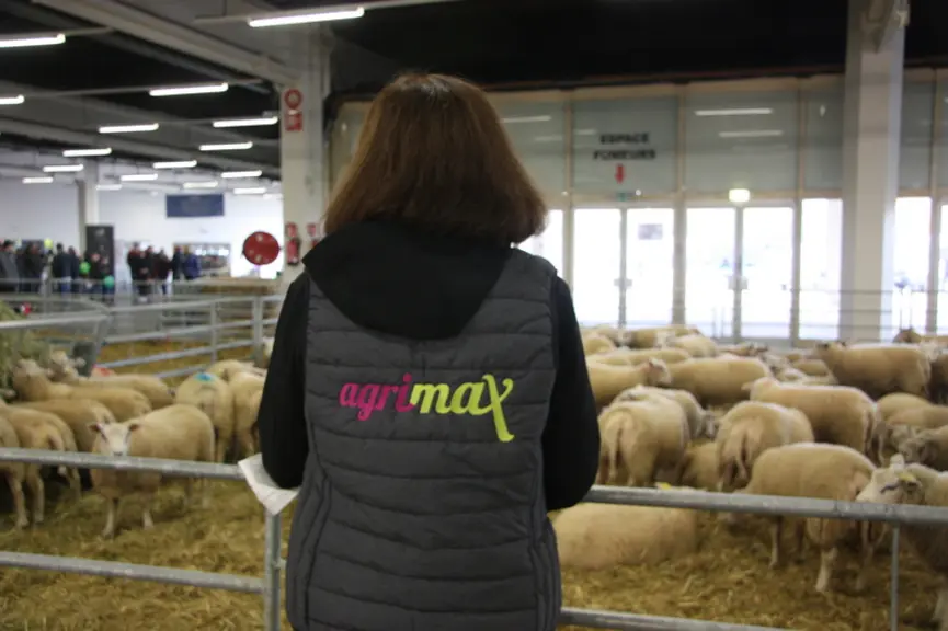 Le projet européen Défi Laine exposé à Agrimax