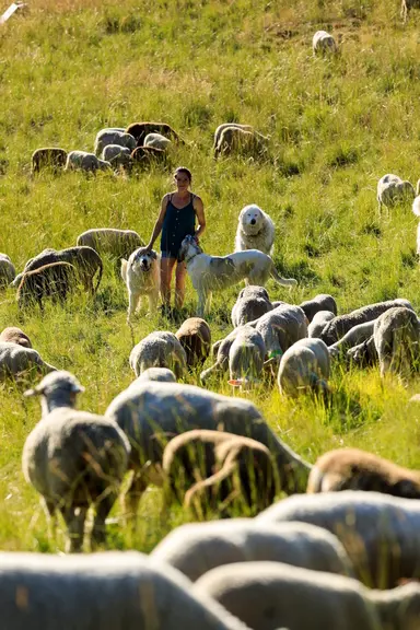 Claire Lapie, relais local chiens de protection du réseau Idele, éleveuse dans la Drôme.