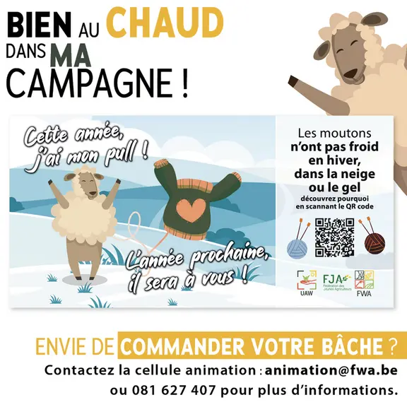 Nos amis belges communiquent sur le bien-être des brebis qui pâturent en toute saison. La laine les préserve du froid et de l'humidité.