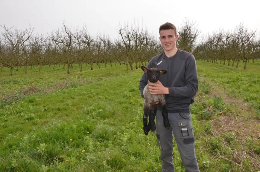Benoît Laborde, éleveur de 96 shropshire dans le Lot-et-Garonne