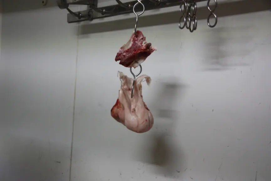 Un jour avec Romain Lebœuf, artisan boucher