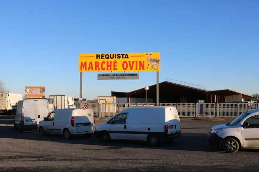 Le marché de Réquista est le premier marché ovin de France. Les vendeurs sont pour la plupart aveyronnais, mais certains n'hésitent pas à parcourir un