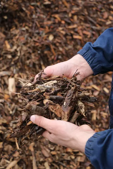 Les plaquettes de bois, issues de la gestion des haies forestières, rapportent une plus-value à l'éleveur.