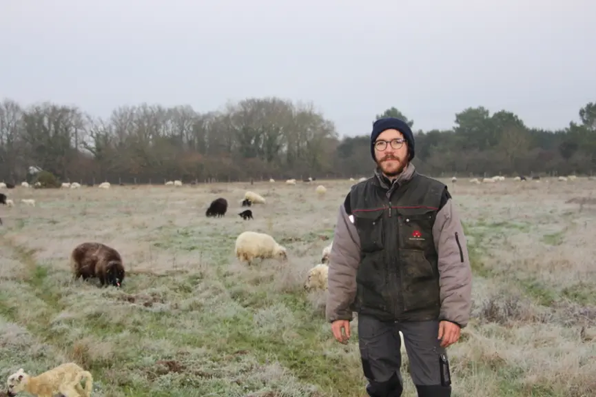 Intéressé par les races locales, Fabien Letort apprécie la race Landes de Bretagne, très rustique et économe.