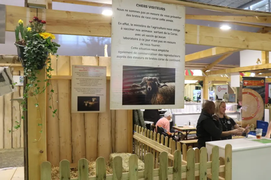 Pas de brebis corses au Salon de l'agriculture cette année. L'OS Corse proteste contre une réglementation dénuée de réalité qui plombe les exports de