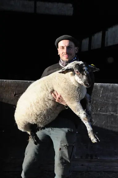 Président de la section limousine à ROM sélection, Yoan Thomas a travaillé 13 ans pour l'Inra sur la ferme de Redon-Bas avant d'en reprendre le fermag