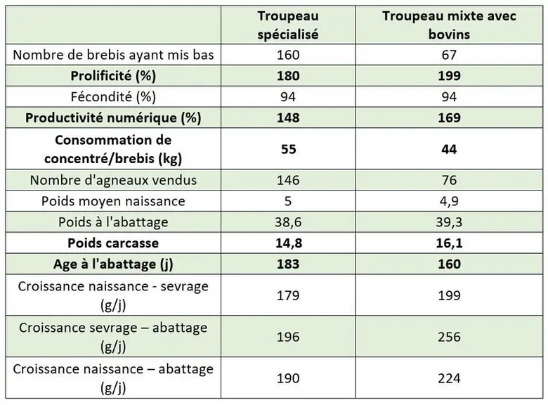 Comparaisons des résultats entre brebis et agneaux conduits en monospécifique et en mixe avec des bovins.