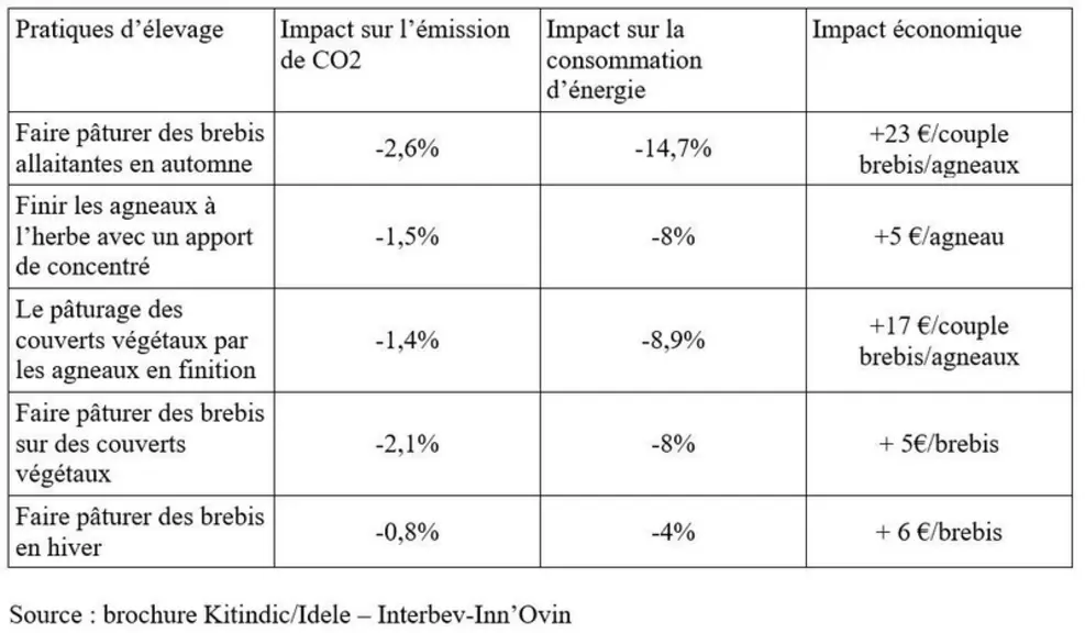 Des techniques de pâturage pour limiter les concentrés