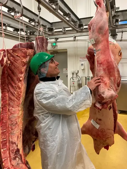 François Frette, animateur de la section ovine à Interbev